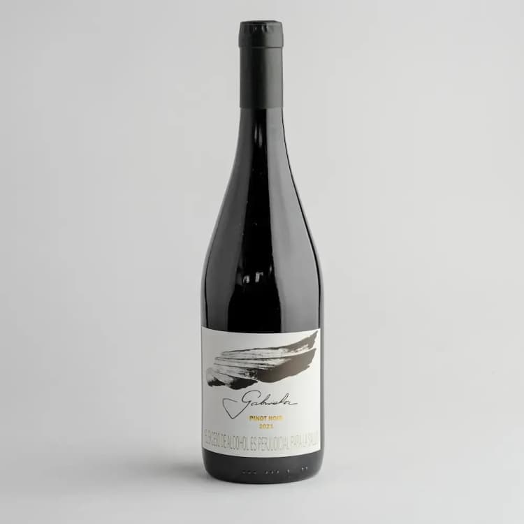 Imagen Vino Pinot Noir